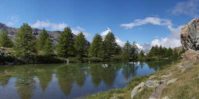 Zermatt Grindjisee Matterhorn Sumpf Bergbach Wiese Wald Fine Art Photographers - 004405 - 11-08-2009 - 10158x4100 Pixel Zermatt Grindjisee Matterhorn Sumpf Bergbach Wiese Wald Fine Art Photographers Fine Art Photography Gallery Fine Art Prints Fine Art Prints For Sale Rock River...