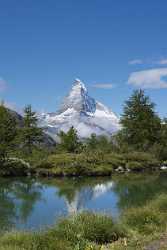 Zermatt Grindjisee Matterhorn Sumpf Bergbach Wiese Wald Fine Arts Photography Fine Art Pictures - 004406 - 11-08-2009 - 4092x9273 Pixel Zermatt Grindjisee Matterhorn Sumpf Bergbach Wiese Wald Fine Arts Photography Fine Art Pictures Photo Fine Art Printing Prints Animal Island Stock Photos Forest...