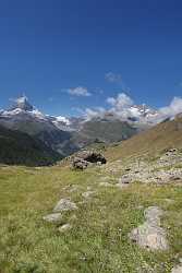 Zermatt Matterhorn Wolken Blau Himmel Panorama Shoreline Order Lake Art Photography For Sale Animal - 004413 - 11-08-2009 - 4407x7331 Pixel Zermatt Matterhorn Wolken Blau Himmel Panorama Shoreline Order Lake Art Photography For Sale Animal Tree Barn Fine Art Posters Fine Arts Photography Fine Art...