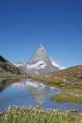 Zermatt Riffelsee Matterhorn Rotenboden Berg See Sumpf Blumen View Point Rock - 004556 - 13-08-2009 - 4241x8103 Pixel Zermatt Riffelsee Matterhorn Rotenboden Berg See Sumpf Blumen View Point Rock Fine Art Photography Prints Stock Image Fine Art Nature Photography Fine Art...