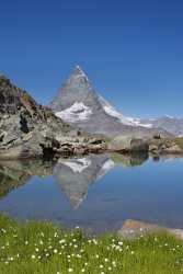 Zermatt Riffelsee Matterhorn Rotenboden Berg See Sumpf Blumen Autumn Rain Fine Art Prints - 004570 - 13-08-2009 - 4297x9999 Pixel Zermatt Riffelsee Matterhorn Rotenboden Berg See Sumpf Blumen Autumn Rain Fine Art Prints Fine Art Foto Animal Country Road Fine Art Photo Modern Art Prints...