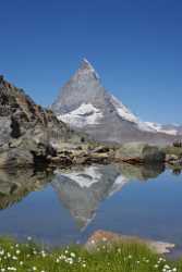 Zermatt Riffelsee Matterhorn Rotenboden Berg See Sumpf Blumen Fine Art Prints For Sale Fine Arts - 004573 - 13-08-2009 - 3905x11002 Pixel Zermatt Riffelsee Matterhorn Rotenboden Berg See Sumpf Blumen Fine Art Prints For Sale Fine Arts Fine Art Photography Galleries Coast Fine Art Printing Fine Art...