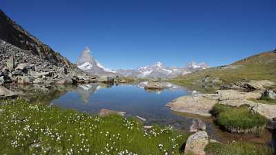 Zermatt Riffelsee Matterhorn Rotenboden Berg See Sumpf Blumen Art Prints Royalty Free Stock Images - 004576 - 13-08-2009 - 7576x4252 Pixel Zermatt Riffelsee Matterhorn Rotenboden Berg See Sumpf Blumen Art Prints Royalty Free Stock Images Senic Island Fine Art Landscape Fine Art Photo Fine Art Stock...