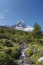 Zermatt Schwarzsee Paradise Matterhorn Bergbach Sommer Panorama Hdr Tree Photography - 004230 - 09-08-2009 - 4344x7669 Pixel Zermatt Schwarzsee Paradise Matterhorn Bergbach Sommer Panorama Hdr Tree Photography Fine Art Prints Island Landscape View Point Landscape Photography Art...