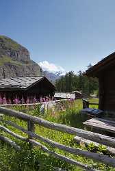 Zermatt Staffel Biel Alphuette Sommer Berg Alpen Panorama Fine Arts Images - 004243 - 09-08-2009 - 4293x6386 Pixel Zermatt Staffel Biel Alphuette Sommer Berg Alpen Panorama Fine Arts Images Royalty Free Stock Photos Color Fine Art Photo Fine Art Nature Photography Winter Sky...