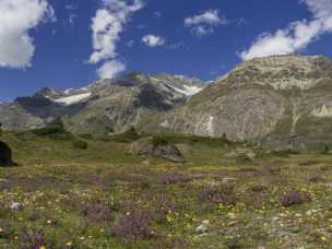 Staffelalp