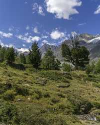 Staffelalp Zermatt Wallis Summer Panoramic Viepoint Lookout Mountain Royalty Free Stock Photos Sky - 021233 - 17-08-2017 - 7324x9131 Pixel Staffelalp Zermatt Wallis Summer Panoramic Viepoint Lookout Mountain Royalty Free Stock Photos Sky What Is Fine Art Photography Fine Art Print Fine Art...