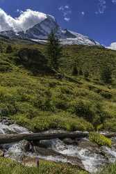 Staffelalp Zermatt Wallis Summer Panoramic Viepoint Lookout Mountain Forest Rock Flower - 021237 - 17-08-2017 - 7148x11394 Pixel Staffelalp Zermatt Wallis Summer Panoramic Viepoint Lookout Mountain Forest Rock Flower Fine Art Photography Galleries Fine Art Printing Royalty Free Stock...