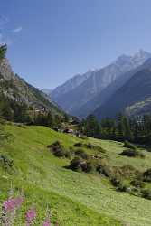 Zermatt Trift Sac Huette Hoebalmen Sommer Blumen Aussicht Images Fine Art Photographers River - 004461 - 12-08-2009 - 4223x8891 Pixel Zermatt Trift Sac Huette Hoebalmen Sommer Blumen Aussicht Images Fine Art Photographers River Fine Art Photo Mountain Famous Fine Art Photographers Landscape...