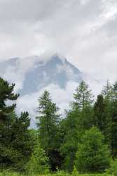 Tufteren Baum Wald Nebel Wolken Mettelhorn Fine Art Foto Hi Resolution Art Printing Photo Fine Art - 003075 - 17-07-2008 - 4165x9265 Pixel Tufteren Baum Wald Nebel Wolken Mettelhorn Fine Art Foto Hi Resolution Art Printing Photo Fine Art Fine Art Giclee Printing Prints Western Art Prints For Sale...