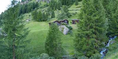 Zermatt Wald Heustall Autumn Leave Stock Photos Fine Art Photography Prints For Sale - 002687 - 14-07-2008 - 10434x4023 Pixel Zermatt Wald Heustall Autumn Leave Stock Photos Fine Art Photography Prints For Sale Photography Prints For Sale Hi Resolution Forest Snow Fine Art Modern Wall...