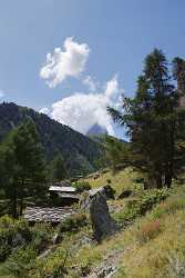 Zermatt Zmut Alphuette Sommer Wiese Berg Alpen Panorama Art Photography Gallery Prints - 004283 - 09-08-2009 - 4342x7246 Pixel Zermatt Zmut Alphuette Sommer Wiese Berg Alpen Panorama Art Photography Gallery Prints Modern Art Print Color Fine Art Print Ice Cloud Animal Fine Art...