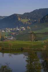 Finstersee Herbst Autumn Tree Zug Mountain View Landscape Island Modern Wall Art Art Printing - 004184 - 08-11-2008 - 4189x6495 Pixel Finstersee Herbst Autumn Tree Zug Mountain View Landscape Island Modern Wall Art Art Printing Fine Art Rain Spring Sea Fine Art Photo Lake Fine Arts Photography...