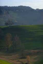 Menzingen Herbst Autumn Tree Zug Mountain View Landscape Sunshine Fine Art Nature Photography - 004181 - 08-11-2008 - 3999x6299 Pixel Menzingen Herbst Autumn Tree Zug Mountain View Landscape Sunshine Fine Art Nature Photography Prints Park Animal River Fine Art Landscapes Fine Arts Photography...