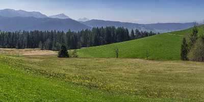 Oberaegeri Raten Zug Stall Wiese Blumenwiese Sumpf Fruehling Photo Fine Art Country Road - 021053 - 08-04-2017 - 18723x7715 Pixel Oberaegeri Raten Zug Stall Wiese Blumenwiese Sumpf Fruehling Photo Fine Art Country Road Fine Art Photos Fine Art Photography Fine Art Landscape Leave Fine Art...