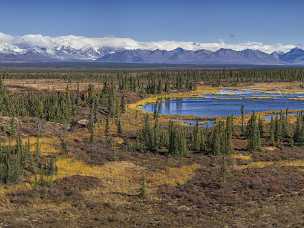 Denali Highway