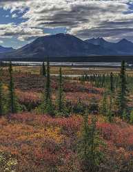 Denali Hwy Cantwell Viewpoint Alaska Panoramic Landscape Photography Fine Art Photos - 020433 - 09-09-2016 - 7749x10030 Pixel Denali Hwy Cantwell Viewpoint Alaska Panoramic Landscape Photography Fine Art Photos Royalty Free Stock Photos Fine Art Landscapes Shoreline Sky Fine Art Photo...