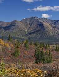 Denali Hwy Cantwell Viewpoint Alaska Panoramic Landscape Photography Stock Photos Barn - 020438 - 09-09-2016 - 7659x10073 Pixel Denali Hwy Cantwell Viewpoint Alaska Panoramic Landscape Photography Stock Photos Barn Photo Fine Art Fine Arts Photography Art Prints Fine Art Prints Fine Art...