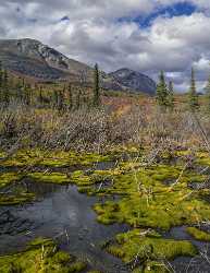 Denali Hwy Cantwell Viewpoint Alaska Panoramic Landscape Photography Outlook Lake Shore Cloud - 020443 - 09-09-2016 - 7661x9943 Pixel Denali Hwy Cantwell Viewpoint Alaska Panoramic Landscape Photography Outlook Lake Shore Cloud Fine Art Fine Art Print Town Nature Country Road Fine Art Prints...