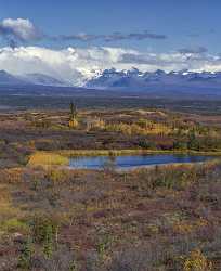 Denali Hwy Cantwell Viewpoint Alaska Panoramic Landscape Photography Rock - 020451 - 09-09-2016 - 7818x9585 Pixel Denali Hwy Cantwell Viewpoint Alaska Panoramic Landscape Photography Rock Famous Fine Art Photographers Animal Beach Shoreline Stock Photos Coast Autumn...