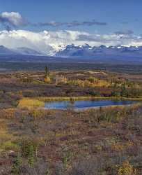 Denali Hwy Cantwell Viewpoint Alaska Panoramic Landscape Photography Rock - 020451 - 09-09-2016 - 7818x9585 Pixel Denali Hwy Cantwell Viewpoint Alaska Panoramic Landscape Photography Rock Famous Fine Art Photographers Animal Beach Shoreline Stock Photos Coast Autumn...