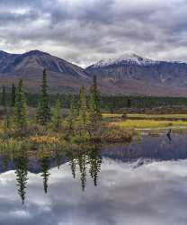 Denali Hwy Cantwell Viewpoint Alaska Panoramic Landscape Photography Fine Art Photos Hi Resolution - 020456 - 09-09-2016 - 7832x9426 Pixel Denali Hwy Cantwell Viewpoint Alaska Panoramic Landscape Photography Fine Art Photos Hi Resolution Order Tree Art Photography Gallery Fine Art Photography...