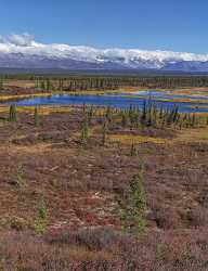 Denali Hwy Cantwell Viewpoint Alaska Panoramic Landscape Photography Outlook Modern Art Print Cloud - 020457 - 09-09-2016 - 7487x9740 Pixel Denali Hwy Cantwell Viewpoint Alaska Panoramic Landscape Photography Outlook Modern Art Print Cloud Royalty Free Stock Images Barn Stock Photography Prints For...