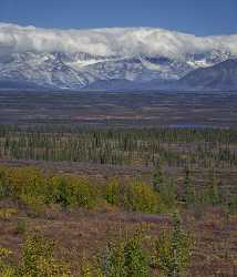 Denali Hwy Cantwell Viewpoint Alaska Panoramic Landscape Photography Modern Art Print Barn - 020469 - 09-09-2016 - 7743x9061 Pixel Denali Hwy Cantwell Viewpoint Alaska Panoramic Landscape Photography Modern Art Print Barn Stock Images Ice Winter Tree Photo Modern Wall Art Summer Mountain...