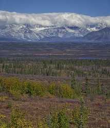 Denali Hwy Cantwell Viewpoint Alaska Panoramic Landscape Photography Modern Art Print Barn - 020469 - 09-09-2016 - 7743x9061 Pixel Denali Hwy Cantwell Viewpoint Alaska Panoramic Landscape Photography Modern Art Print Barn Stock Images Ice Winter Tree Photo Modern Wall Art Summer Mountain...