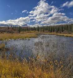 Denali Hwy Cantwell Viewpoint Alaska Panoramic Landscape Photography Photo Fine Art Stock Photos - 020507 - 09-09-2016 - 7651x8129 Pixel Denali Hwy Cantwell Viewpoint Alaska Panoramic Landscape Photography Photo Fine Art Stock Photos Beach Photo Fine Art Foto Town Fine Art Landscape Photography...