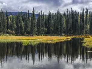 Denali Viewpoint