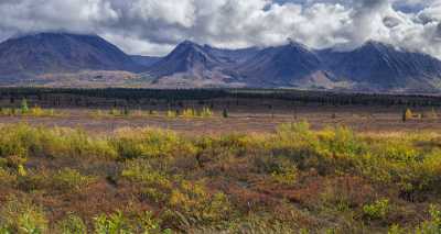 Cantwell George Parks Hwy Viewpoint Alaska Panoramic Landscape Art Printing Fine Art Landscape - 020342 - 06-09-2016 - 13905x7391 Pixel Cantwell George Parks Hwy Viewpoint Alaska Panoramic Landscape Art Printing Fine Art Landscape Fine Art Sea Fine Art America Photo Fine Art Fine Art Landscapes...