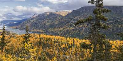 Chickaloon Glenn Hwy Alaska Panoramic Landscape Photography Tundra Order Fine Art Photography City - 020187 - 18-09-2016 - 18741x7530 Pixel Chickaloon Glenn Hwy Alaska Panoramic Landscape Photography Tundra Order Fine Art Photography City Rock Famous Fine Art Photographers Fine Art Printer Fine Art...