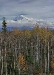 Copper Center Richardson Hwy Alaska Panoramic Landscape Photography Rock Fine Art Printer - 020415 - 17-09-2016 - 7727x10651 Pixel Copper Center Richardson Hwy Alaska Panoramic Landscape Photography Rock Fine Art Printer Photo Fine Art Art Photography Gallery Art Printing View Point Fine...