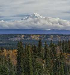 Copper Center Richardson Hwy Alaska Panoramic Landscape Photography Stock Ice Nature - 020500 - 17-09-2016 - 7743x8285 Pixel Copper Center Richardson Hwy Alaska Panoramic Landscape Photography Stock Ice Nature Fine Art Photographer Art Printing Fine Art Print Rock Autumn Famous Fine...