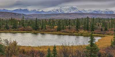 Richardson Hwy Delta Junction Viewpoint Alaska Panoramic Landscape Art Photography Gallery - 020033 - 11-09-2016 - 25830x10588 Pixel Richardson Hwy Delta Junction Viewpoint Alaska Panoramic Landscape Art Photography Gallery Royalty Free Stock Images Animal Image Stock Prints For Sale Stock...