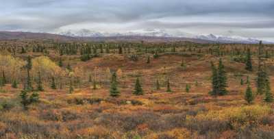 Richardson Hwy Delta Junction Viewpoint Alaska Panoramic Landscape View Point - 020279 - 11-09-2016 - 15332x7762 Pixel Richardson Hwy Delta Junction Viewpoint Alaska Panoramic Landscape View Point Western Art Prints For Sale Lake River Fine Arts Photography Art Printing Fine Art...