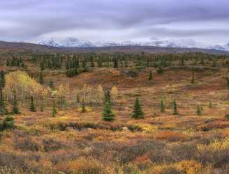 Richardson Hwy Delta Junction Viewpoint Alaska Panoramic Landscape Island - 020424 - 11-09-2016 - 10311x7865 Pixel Richardson Hwy Delta Junction Viewpoint Alaska Panoramic Landscape Island Fine Art Photography Prints Mountain Cloud Park Fog Spring Fine Arts Photography Ice...