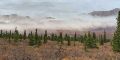 Denali National Park Savage River Viewpoint Alaska Panoramic Autumn Fine Art Photos - 020128 - 07-09-2016 - 20997x7706 Pixel Denali National Park Savage River Viewpoint Alaska Panoramic Autumn Fine Art Photos Fine Art Photography Galleries Nature Fine Art America Fine Art Landscape...