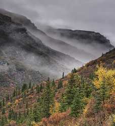 Denali National Park Savage River Viewpoint Alaska Panoramic Modern Art Print Coast - 020491 - 07-09-2016 - 7785x8579 Pixel Denali National Park Savage River Viewpoint Alaska Panoramic Modern Art Print Coast Fine Art Landscapes Order Stock Pictures Cloud Forest Fine Art America Fine...