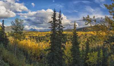 Denali National Park Visitor Center Viewpoint Alaska Panoramic Barn Photography Prints For Sale - 020357 - 08-09-2016 - 13125x7626 Pixel Denali National Park Visitor Center Viewpoint Alaska Panoramic Barn Photography Prints For Sale Fine Art America Art Photography Gallery Fine Arts River Fine...