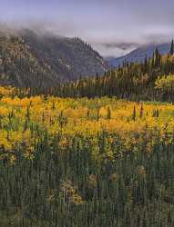 Denali National Park Visitor Center Viewpoint Alaska Panoramic Modern Art Prints Modern Wall Art - 020447 - 07-09-2016 - 7609x9942 Pixel Denali National Park Visitor Center Viewpoint Alaska Panoramic Modern Art Prints Modern Wall Art Forest Coast Image Stock Fine Arts Photography Fine Art...