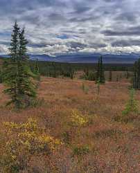 Denali National Park Wonder Lake Viewpoint Alaska Panoramic Fine Art Fotografie - 020440 - 08-09-2016 - 7871x9758 Pixel Denali National Park Wonder Lake Viewpoint Alaska Panoramic Fine Art Fotografie Fine Art Giclee Printing Shore Photography Shoreline Winter Fine Arts...