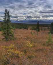 Wonder Lake Wonder Lake - Panoramic - Landscape - Photography - Photo - Print - Nature - Stock Photos - Images - Fine Art Prints -...