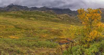 Fishhook Hatcher Pass Alaska Panoramic Landscape Photography Scenic Nature Flower River - 020313 - 04-09-2016 - 14194x7606 Pixel Fishhook Hatcher Pass Alaska Panoramic Landscape Photography Scenic Nature Flower River Fine Art Giclee Printing Fine Art Photography Prints For Sale Fine Art...