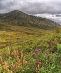 Fishhook Hatcher Pass Alaska Panoramic Landscape Photography Scenic Coast Fine Art Photography - 020474 - 04-09-2016 - 7626x9068 Pixel Fishhook Hatcher Pass Alaska Panoramic Landscape Photography Scenic Coast Fine Art Photography Fine Art Prints Fine Art Royalty Free Stock Photos Fine Art...