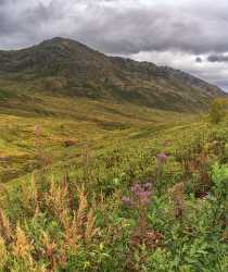 Fishhook Hatcher Pass Alaska Panoramic Landscape Photography Scenic Coast Fine Art Photography - 020474 - 04-09-2016 - 7626x9068 Pixel Fishhook Hatcher Pass Alaska Panoramic Landscape Photography Scenic Coast Fine Art Photography Fine Art Prints Fine Art Royalty Free Stock Photos Fine Art...