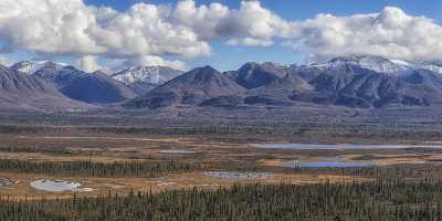 Nelchina Glenn Hwy Alaska Panoramic Landscape Photography Tundra Flower - 020035 - 18-09-2016 - 26221x10389 Pixel Nelchina Glenn Hwy Alaska Panoramic Landscape Photography Tundra Flower What Is Fine Art Photography Color Art Prints Fine Art Photographers Stock Fine Art...