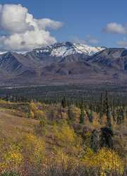 Nelchina Glenn Hwy Alaska Panoramic Landscape Photography Tundra Animal Fine Art Landscape - 020431 - 18-09-2016 - 7583x10482 Pixel Nelchina Glenn Hwy Alaska Panoramic Landscape Photography Tundra Animal Fine Art Landscape Fine Art Landscape Photography Stock Image Fine Art Photography...