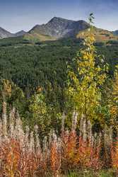 Portage Seaward Hwy Alaska Panoramic Landscape Photography Tundra Nature - 020294 - 19-09-2016 - 7850x14531 Pixel Portage Seaward Hwy Alaska Panoramic Landscape Photography Tundra Nature Fine Art Photography Prints For Sale Fog Stock Image Image Stock Fine Art Printer...